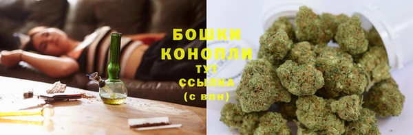 крисы Краснослободск