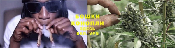 крисы Краснослободск