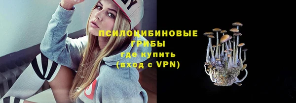 сатива Красноперекопск