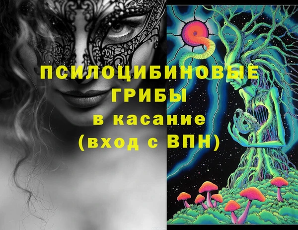 спайс Кулебаки
