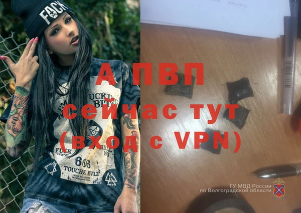 спайс Кукмор