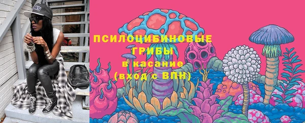 спайс Кулебаки