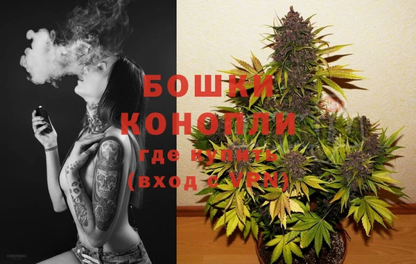 крисы Краснослободск